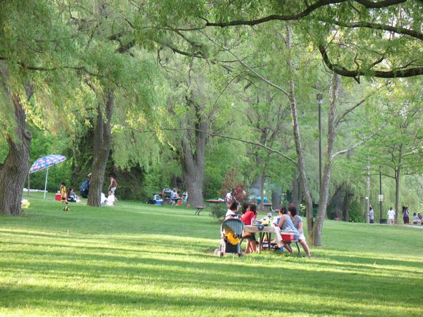 Picnic areas at Jack Darling park