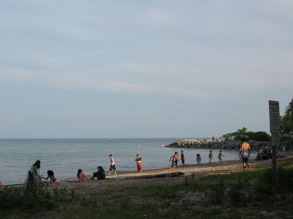 Jack Darling park waterfront